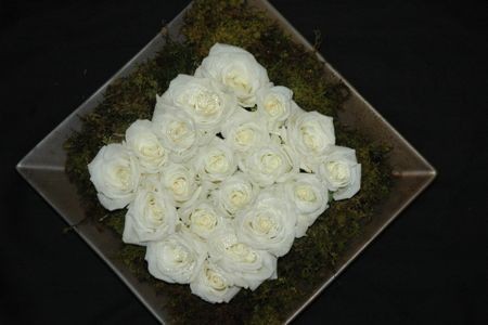 White Roses & Moss