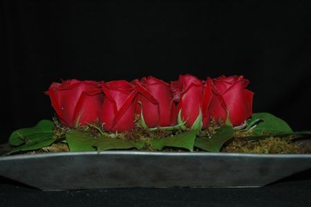 Red Roses & Moss